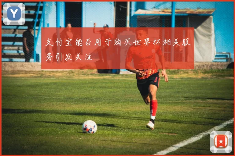 支付宝能否用于购买世界杯相关服务引发关注