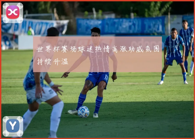 世界杯赛场球迷热情高涨助威氛围持续升温