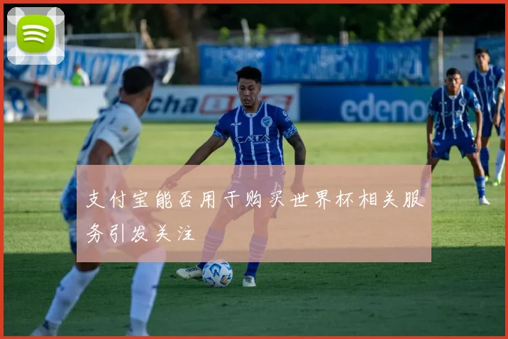 支付宝能否用于购买世界杯相关服务引发关注