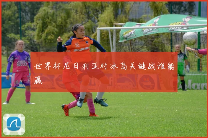 世界杯尼日利亚对冰岛关键战谁能赢