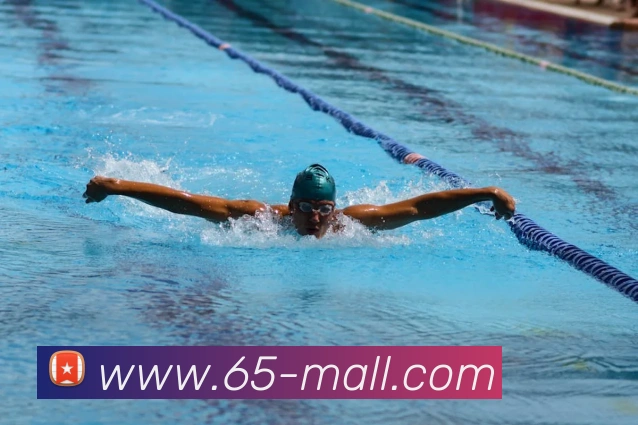 App Interface Preview