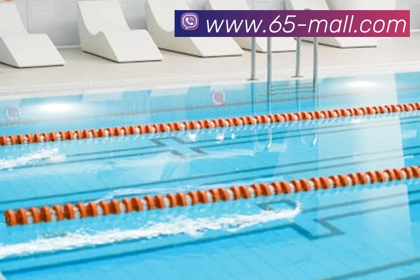 买球官方APP 封面图